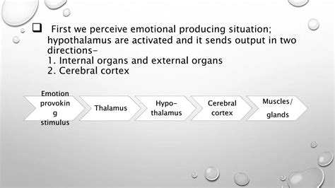 Canon Bard Theory Of Emotions Pptx