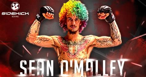 Sean Omalley The Sweet ‘sugar Of The Ufc Sidekick Boxing