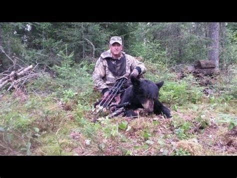 Chasse A L Ours A L Arc Youtube