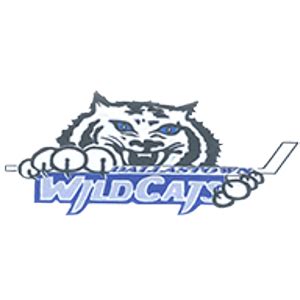 Dallastown Wildcats Ice Hockey