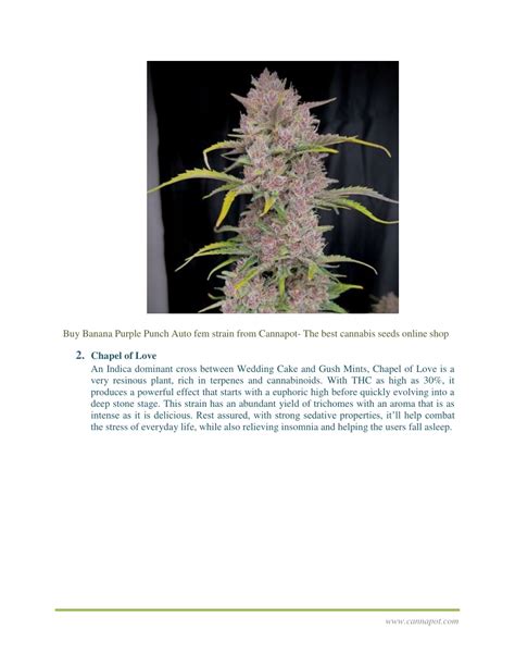 Ppt Best Cannabis Strain For Sleep Top To Consider Powerpoint