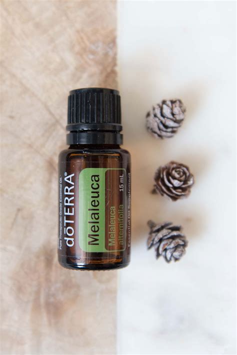 AromaTouch Technique Tea Tree (Melaleuca) | doTERRA Essential Oils