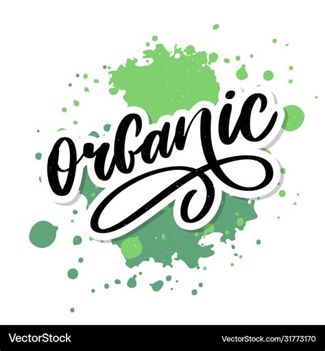 Organic Brush Lettering Hand Drawn Word Royalty Free Vector