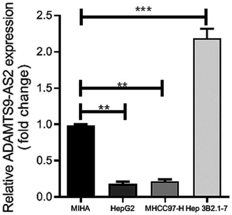 Long Non‑coding Rna Adamts9‑as2 Inhibits Liver Cancer Cell