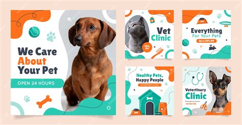 Premium Vector Veterinary Clinic Instagram Posts Collection