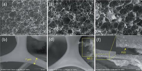 The Typical SEM Images Of The Pure And Modi Fi Ed Sponges With Di Ff