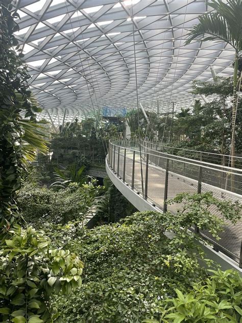 Jewel Changi Airport Ultimate Guide Artofit