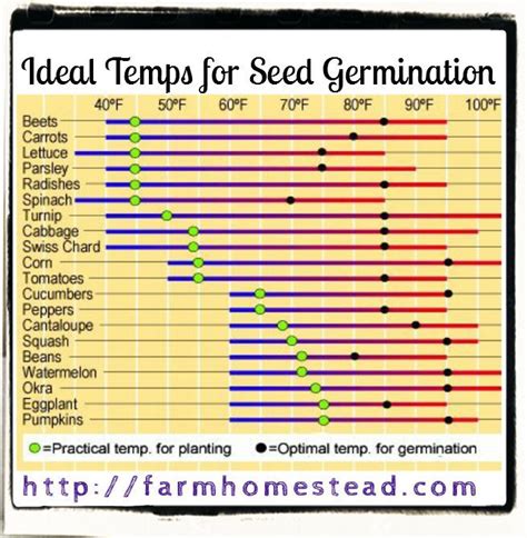 Grass Seed Germination Temperature Chart | Printable Templates Free