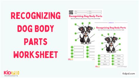 Recognizing Dog Body Parts Worksheet - Kidpid