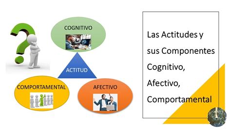 Las Actitudes Y Sus Componentes Cognitivo Afectivo Comportamental