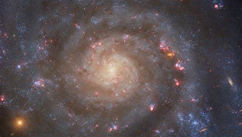 Hubble Views Spiral Galaxy IC 5332 - SpaceRef