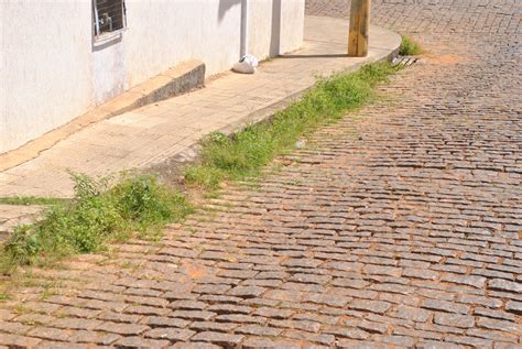 MATO E ESGOTO BROTANDO NAS RUAS VIRAM ALVO DE QUEIXAS Jornal Poço Fundo