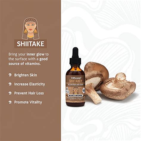 Shiitake Mushroom Liquid Extract Mycelium Sona Biotech