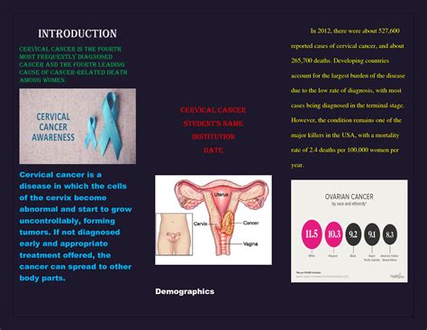 SOLUTION Cervical Cancer Bronchure Studypool