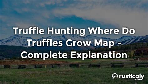 Truffle Hunting Where Do Truffles Grow Map - Finally Understand!