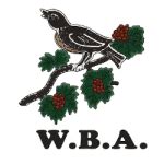 West Bromwich Albion FC Primary Logo | SPORTS LOGO HISTORY