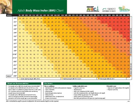 Height And Weight Chart For Women Example - PDFSimpli