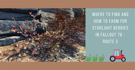 Where To Find And How To Farm For Starlight Berries In Fallout Route