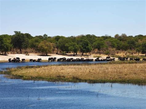 Caprivi Streifen Sambesi Namibia Urlaub Reisen Safaris