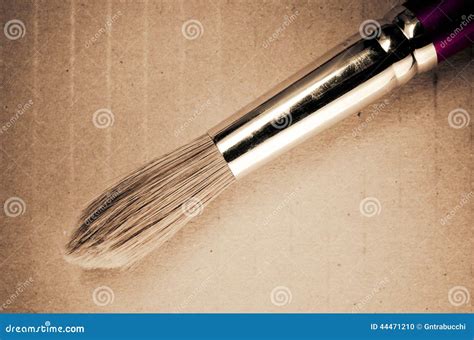 Paintbrush Close Up Stock Photo Image Of Brush Drawing