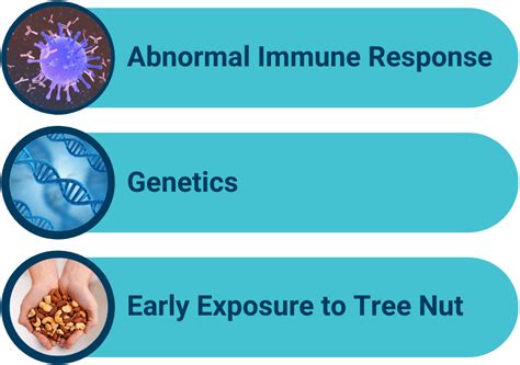 Tree Nut Allergy Symptoms and Treatment - Food Allergy Institute