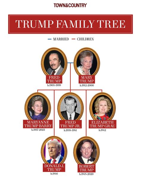 Donald Trumps Family Tree, Explained