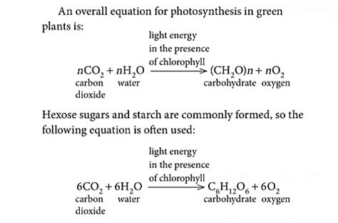 Photosynthesis Equation Process Steps And Diagram Jotscroll