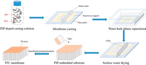 Membranes Free Full Text Fabrication Of Loose Nanofiltration Membranes With High Rejection