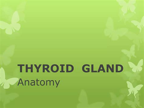 Thyroid Gland Anatomy Ppt