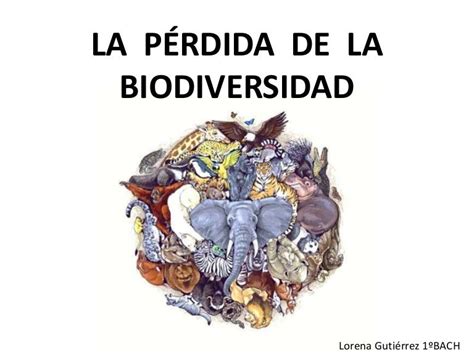 Pérdida De La Biodiversidad