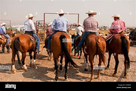 Cowboys On Horses Hi Res Stock Photography And Images Alamy