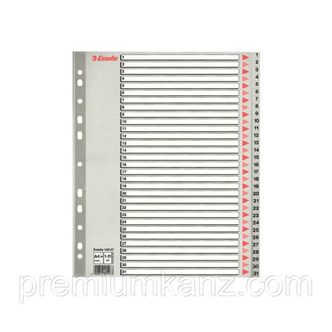 Разделители Листов Полипропиленовые Esselte A4+ — Купить Недорого на ...