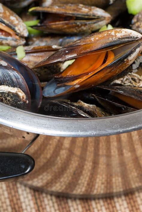 Cooking Pot With Mussels Stock Photo Image Of Sauce 21060692