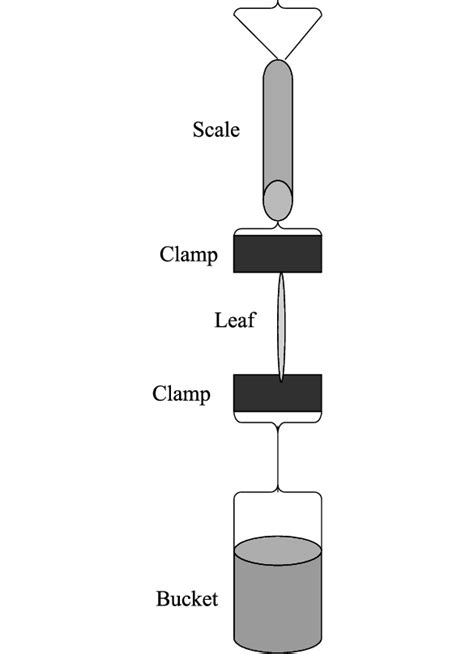 Diagram of the portable tensometer. Apparatus was assembled in the ...