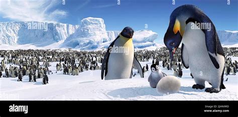 MAURICE, BABY GLORIA, MEMPHIS, MUMBLE EGG, HAPPY FEET, 2006 Stock Photo ...