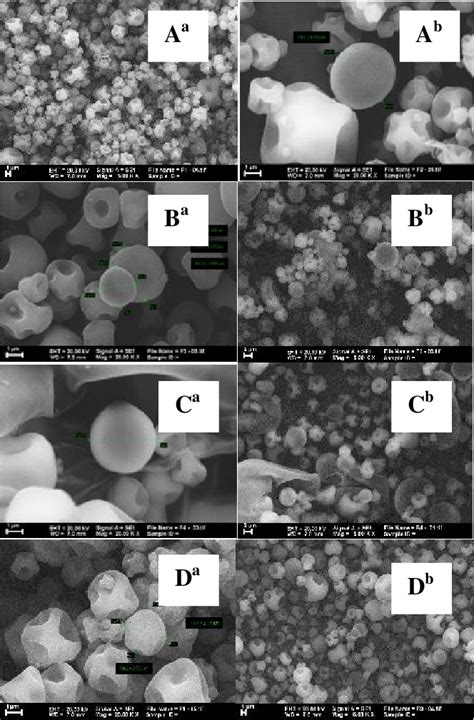 Scanning electron micrographs (5.000x (*) and 20.000x magnification) of ... 