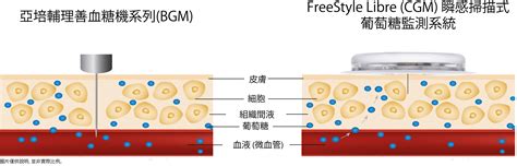 Freestyle 的作用原理 應用程式