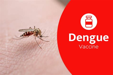 The Dengue Vaccine Travelsafe Immunization Clinic