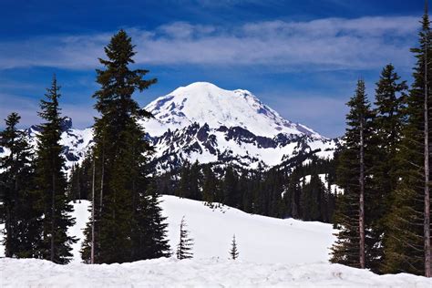 Le Mont Rainier L Ouest Des Etats Unis Etats Unis