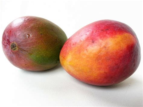 Plantar Mango La Forma M S F Cil De Cultivar Un Mango En Una Maceta