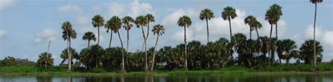 Seminole County (Florida) - Wikitravel