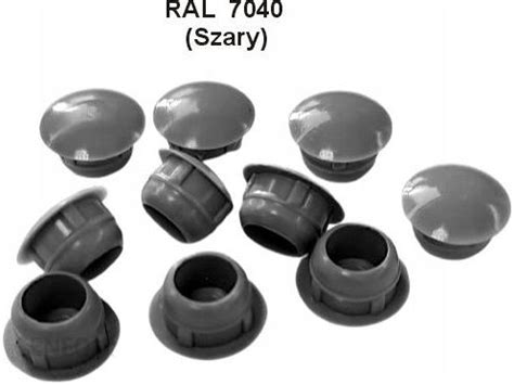 Akcesoria ogrodzeniowe Zaślepka Otworu Fi 25 Korek Zatyczka 10szt