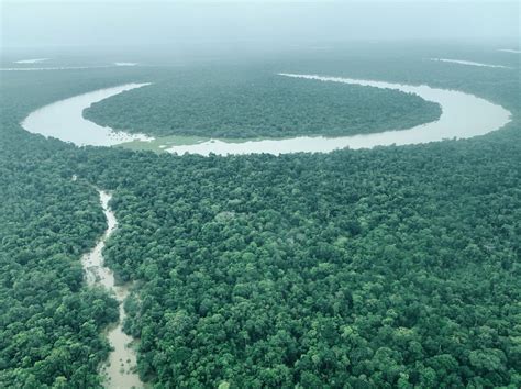 Selva brasileña perdió más de 3 millones de hectáreas de agua dulce