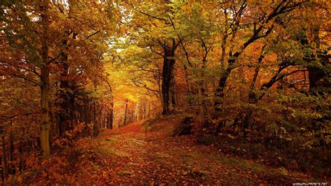 4k Nature Autumn Wallpapers - Wallpaper Cave