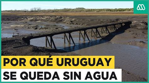 Escasez de agua potable en Uruguay El origen de la crisis hídrica en