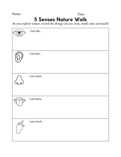 Five Senses Sheet