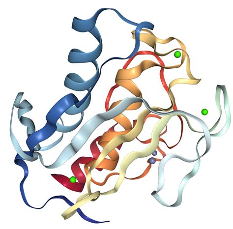 Mmp Protein Overview Sino Biological