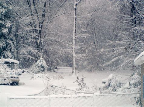 Big snow in Roanoke Rapids, NC, 2010... | Roanoke rapids, Roanoke, Snow