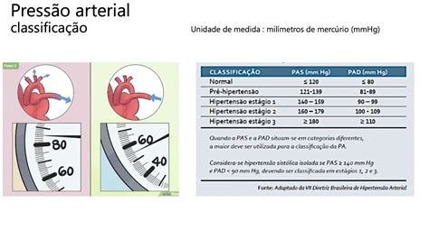 Sinais vitais PA pressão arterial YouTube