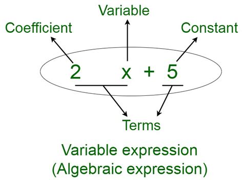 Parts Of An Expression Math